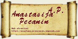 Anastasija Pečanin vizit kartica